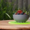Water & Food Rejuvenation Plates