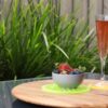 Water & Food Rejuvenation Plates