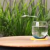 Water & Food Rejuvenation Plates
