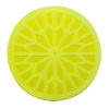 Water & Food Rejuvenation Plates
