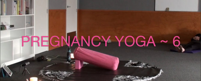 Prenatal Yoga Week 6